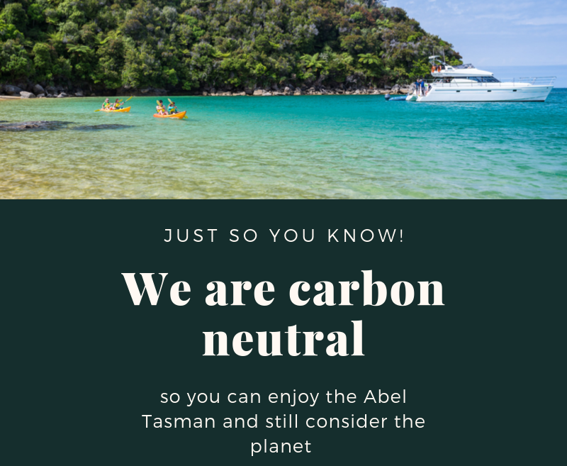 Abel Tasman Charters offsets its carbon footprint by tree planting