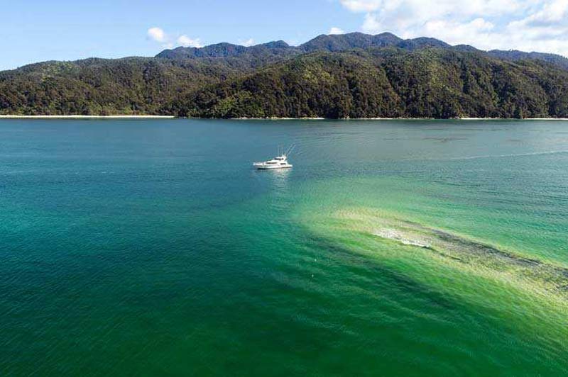 Come and explore New Zealand's Abel Tasman with us.
